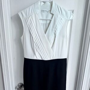 Calvin Klein Black and White Dress
